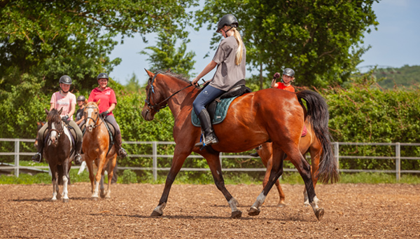 Ferienkurse - Reiten - Reitschule Einhorn