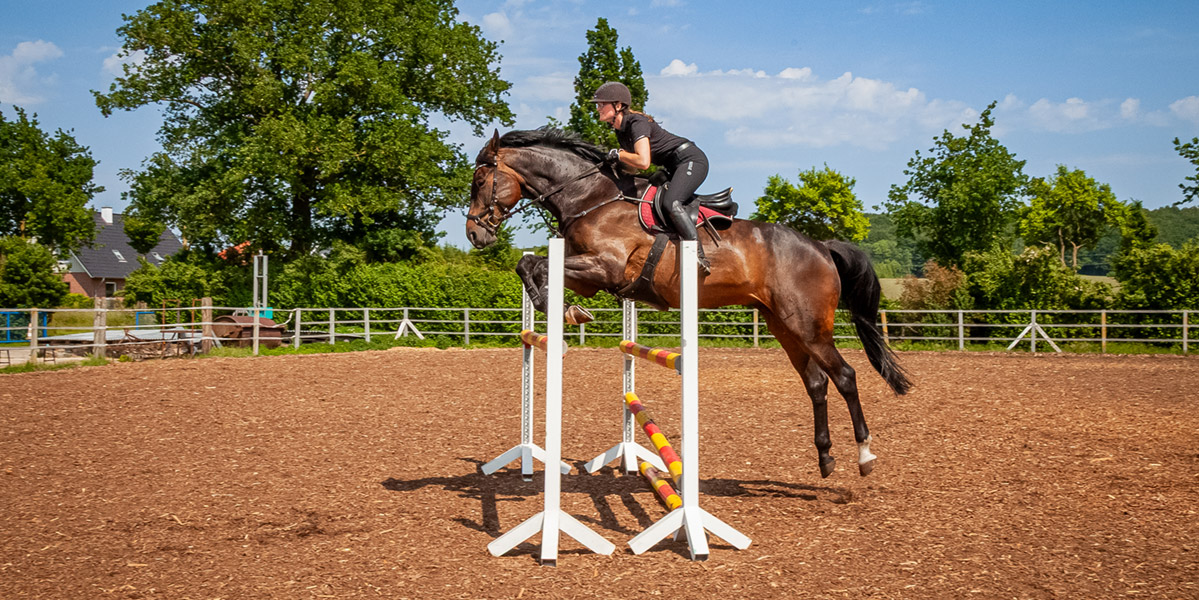 Reiterhof Viervitz - Vielseitigkeitstraining